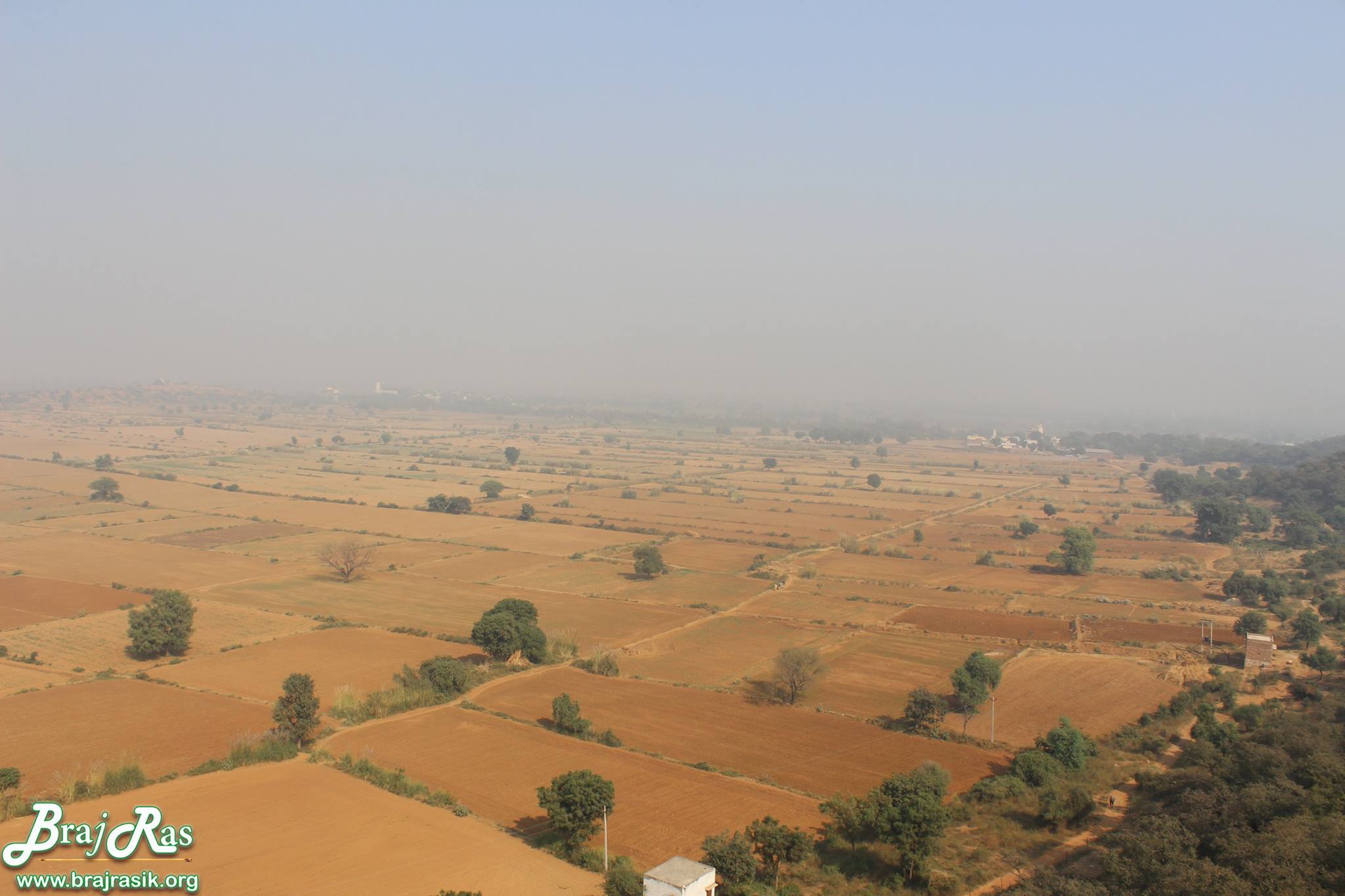 Open fields in Barsana.