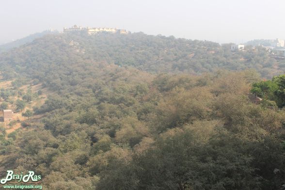 A beautiful view of Gehvar Van in Barsana.
