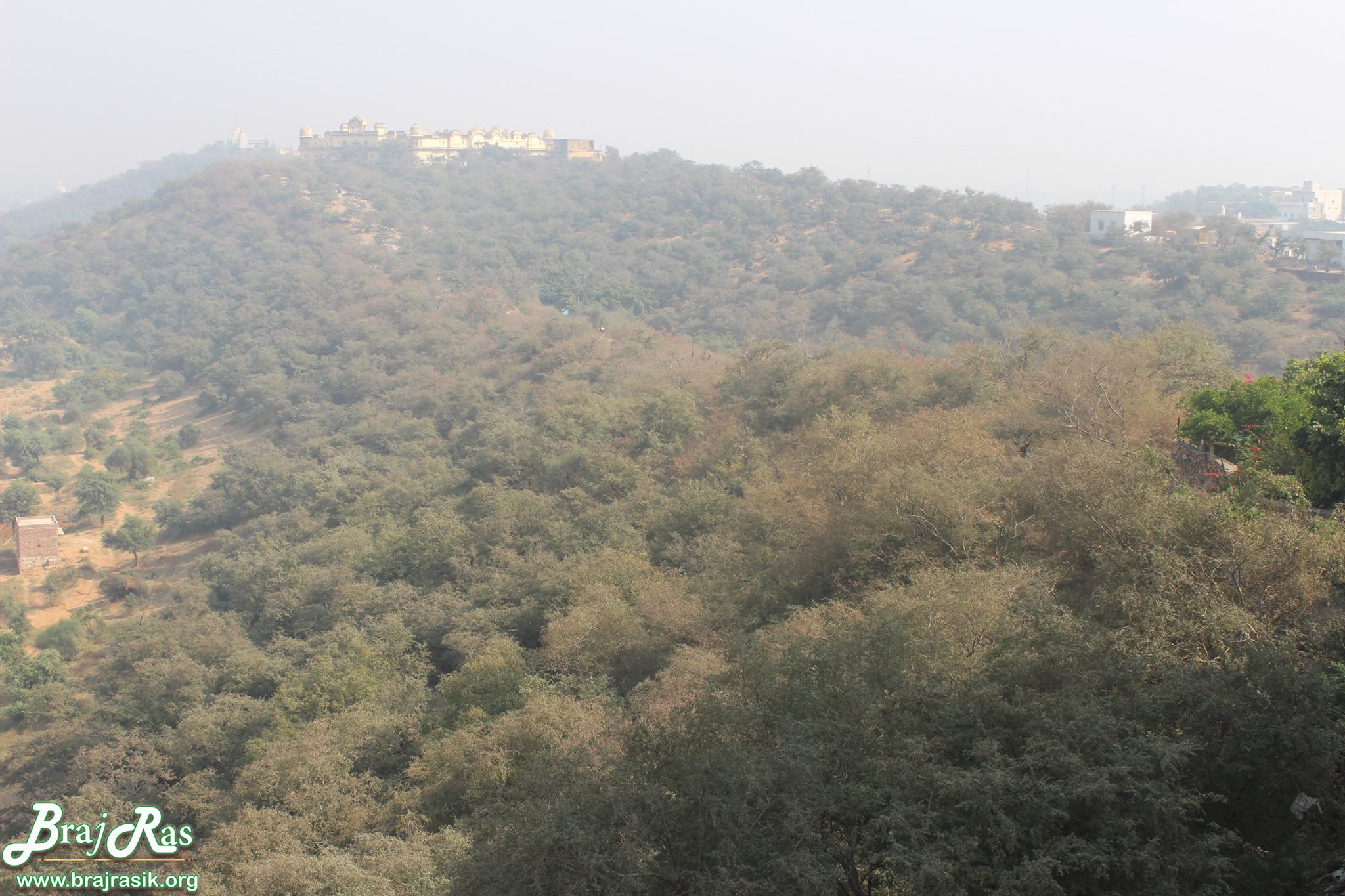A beautiful view of Gehvar Van in Barsana.