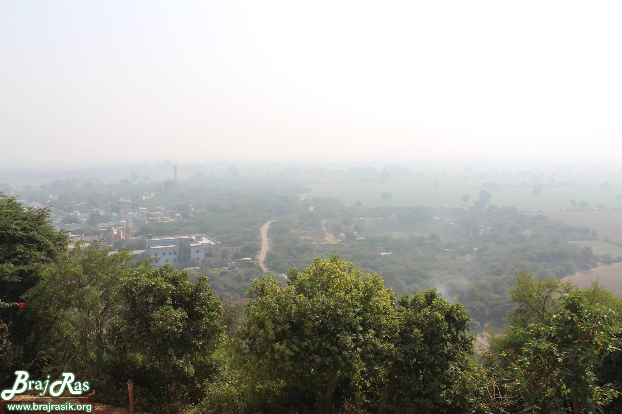 A green view from top of Barsana.