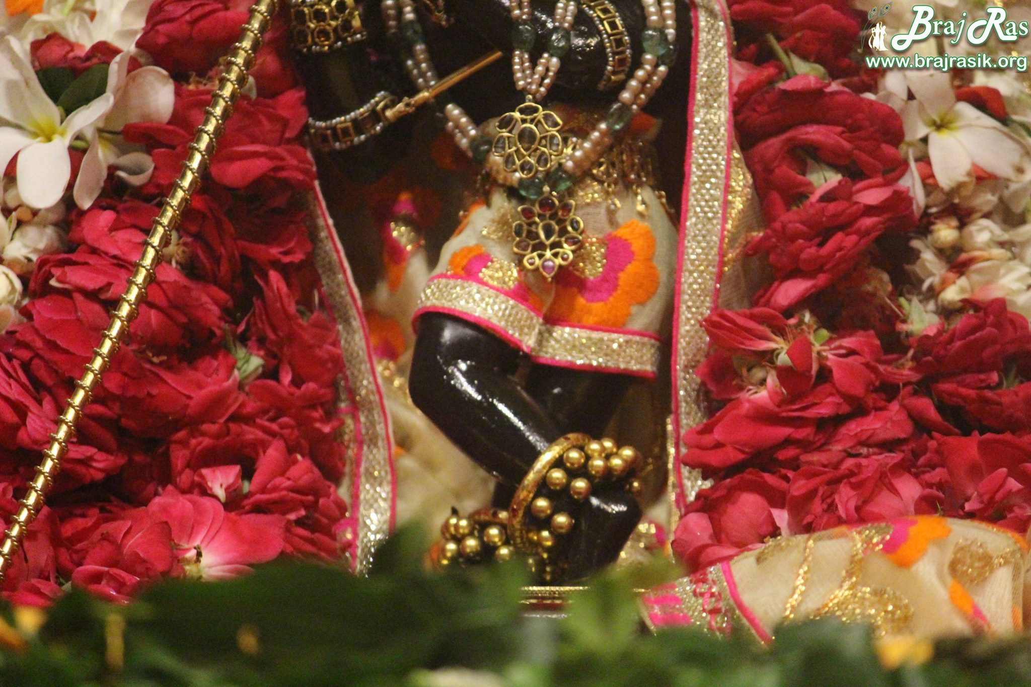Charan Darshan of Shri Radharaman Ji.