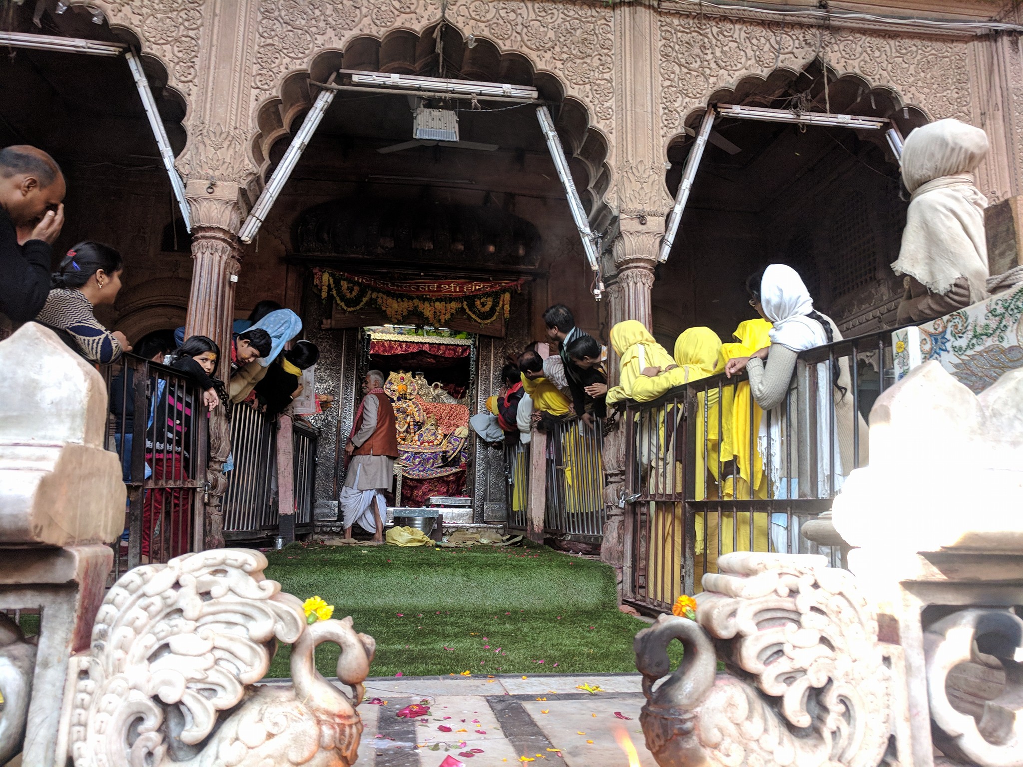 प्रांगण से श्री राधावल्लभ दर्शन