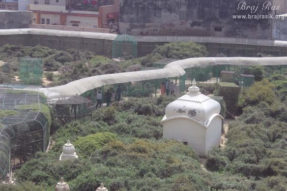 Sky view of Sewa Kunj