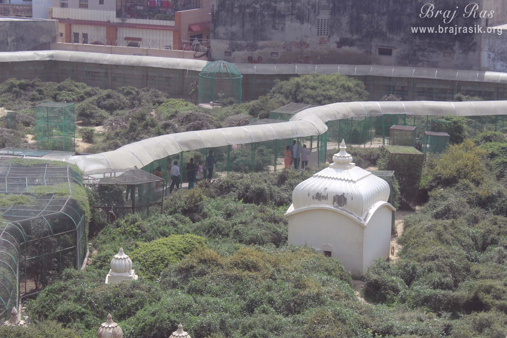 Sky view of Sewa Kunj