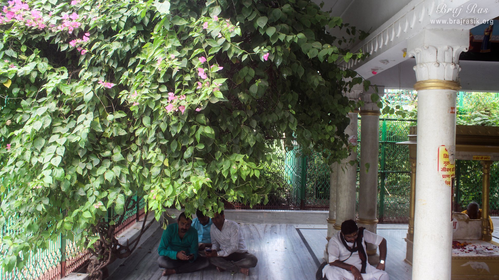 View of courtyard of Sewa Kunj
