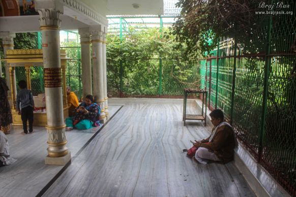 Another view of courtyard of Sewa Kunj