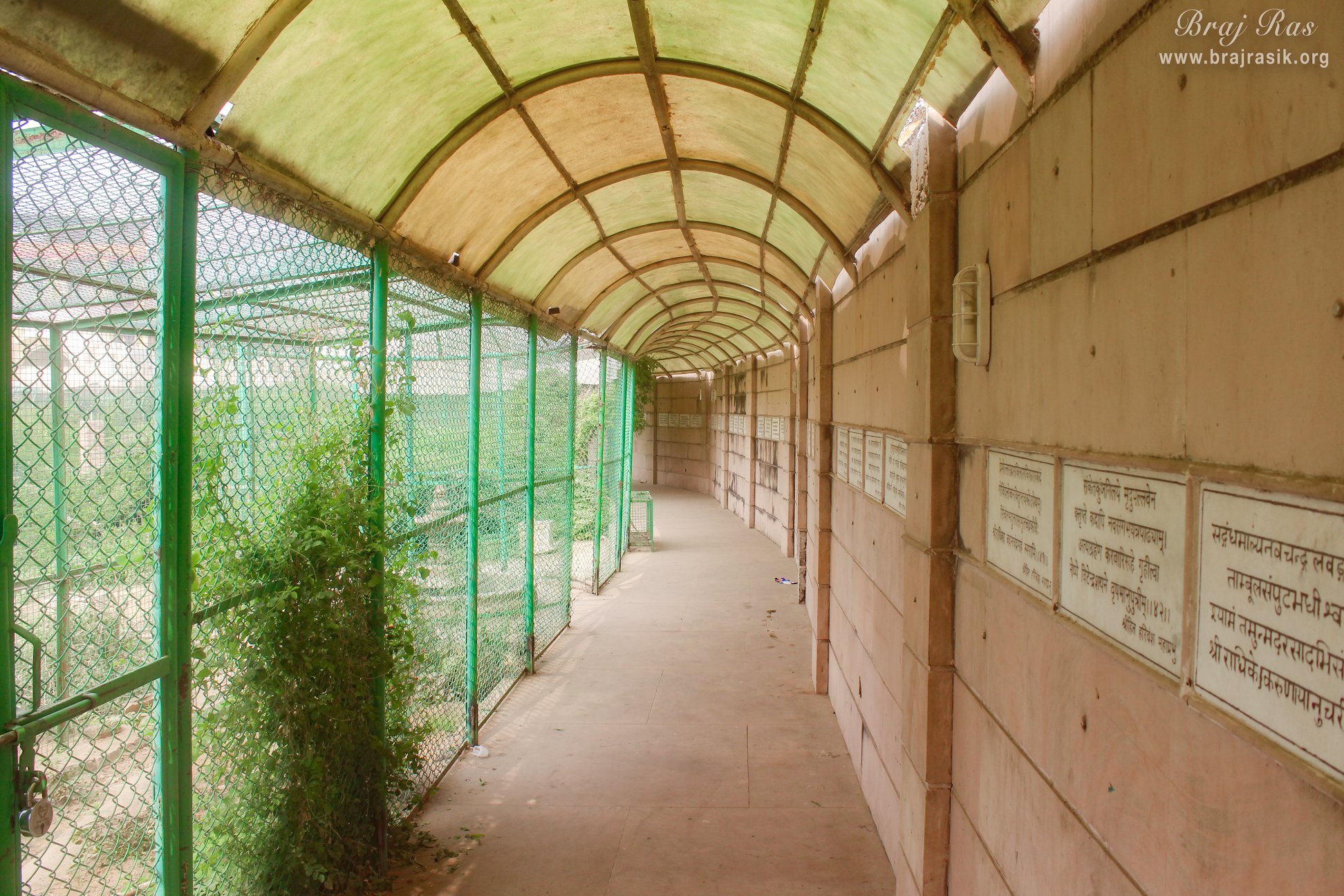Parikrama path of Sewa Kunj