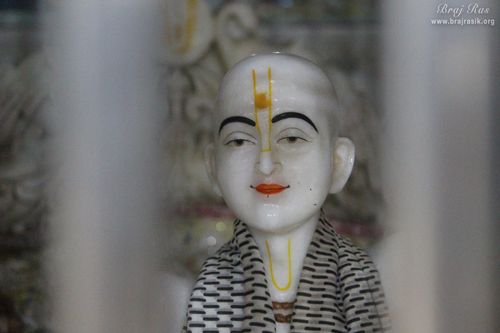 Shri Swami Haridas Ji close darshan at Nidhivan