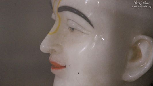 Side view of Shri Swami Haridas Ji at Nidhivan