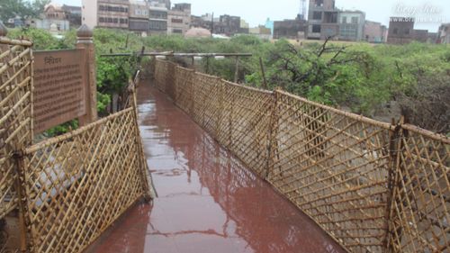 Parikrama marg in rainy days in Nidhivan