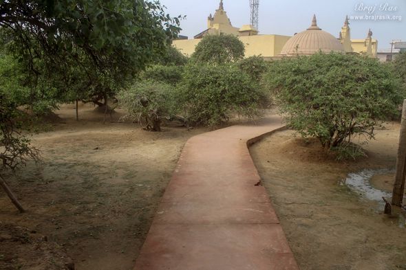 Close View of parikrama marg in Nidhivan