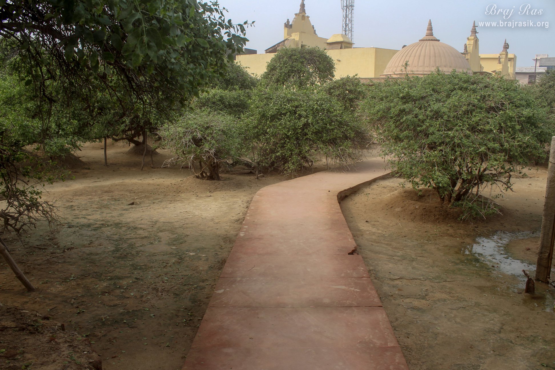 Close View of parikrama marg in Nidhivan