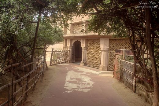 Way to Swami Haridas Ji's Samadhi in Nidhivan