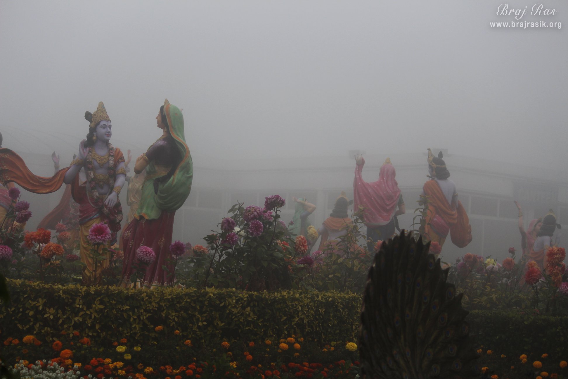 Darshan of Raas Leela in foggy winter in Prem Mandir
