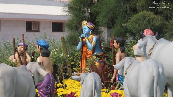 Darshan of Shri Krishna standing on the balance of his Lakuti along with cows in Prem Mandir