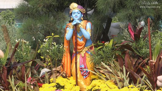 Close darshan of Shri Krishna standing on the balance of his Lakuti along with cows in Prem Mandir