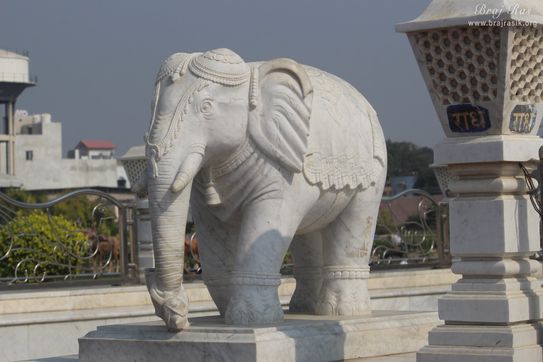 View of a white elephant standing on gate in Prem Mandir
