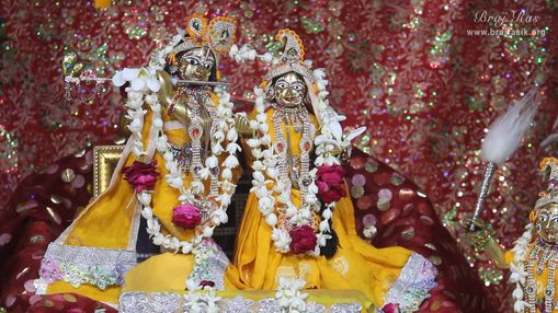 Darshan of Shri Radha Krishna at Pyari Kunj, Vrindavan