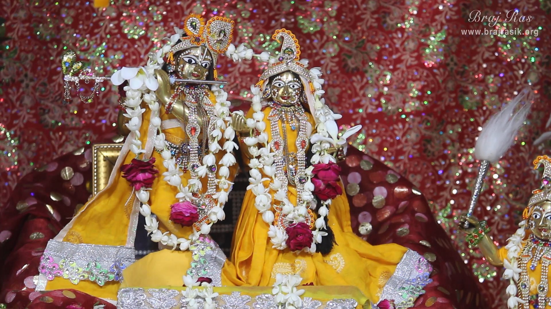 Darshan of Shri Radha Krishna at Pyari Kunj, Vrindavan