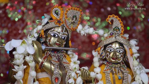 Close Darshan of Shri Radha Krishna at Pyari Kunj, Vrindavan