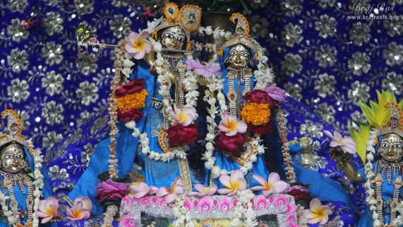 Darshan of Shri Radha Krishna along with Lalita and Vishakha in blue attire at Pyari Kunj, Vrindavan