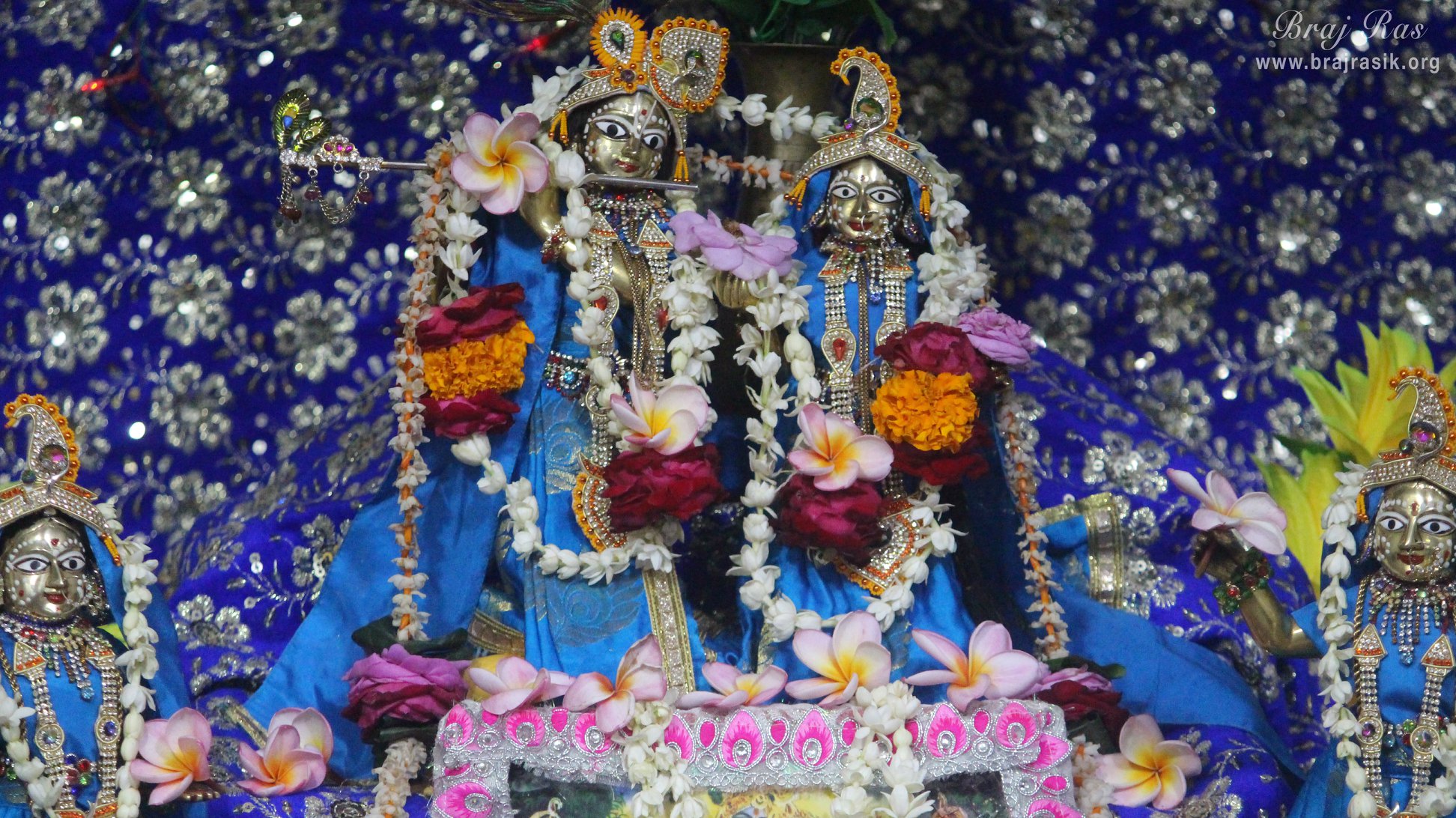 Darshan of Shri Radha Krishna along with Lalita and Vishakha in blue attire at Pyari Kunj, Vrindavan