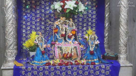 Distant Darshan of Shri Radha Krishna along with Lalita and Vishakha in blue attire at Pyari Kunj, Vrindavan