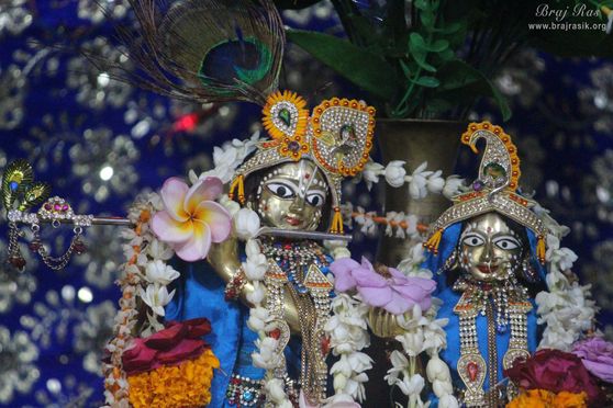 Close Darshan of Shri Radha Krishna in blue attire at Pyari Kunj, Vrindavan