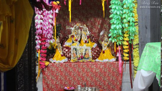 Distant Darshan of Shri Radha Krishna along with Lalita and Vishakha in yellow attire at Pyari Kunj, Vrindavan