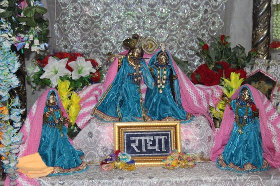 Darshan of Shri Radha Krishna along with Lalita and Vishakha in blue and light pink attire at Pyari Kunj, Vrindavan