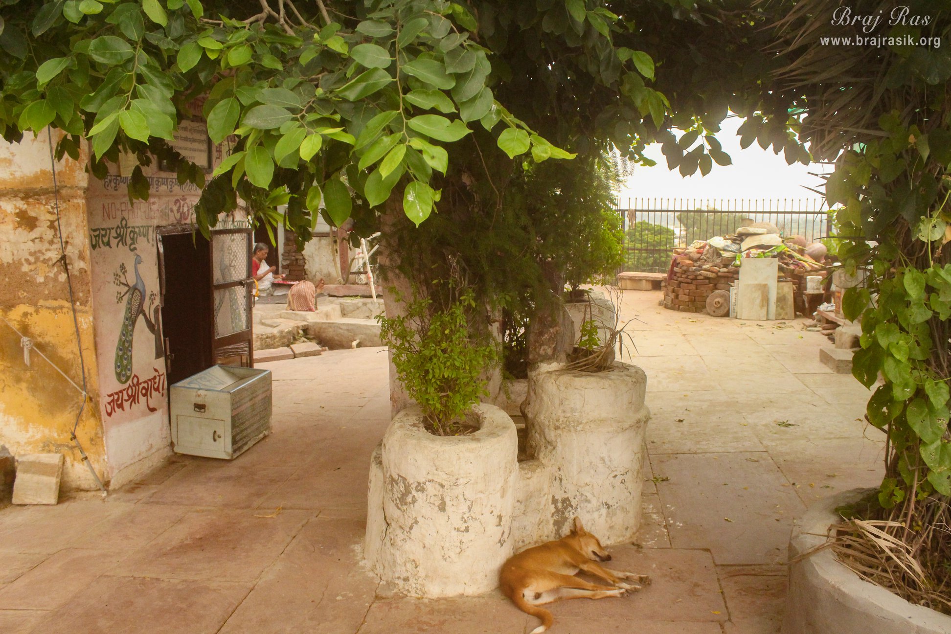 View of Shri Sanatan Goswami's Samadhi area of Shri Radha Madan Mohan Temple, Vrindavan