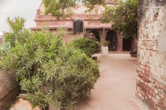 Plantations around samadhi area in Shri Radha Madan Mohan Temple, Vrindavan