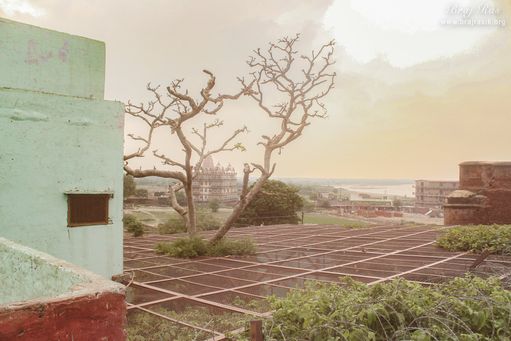 View of temple surroundings at Shri Radha Madan Mohan Temple, Vrindavan