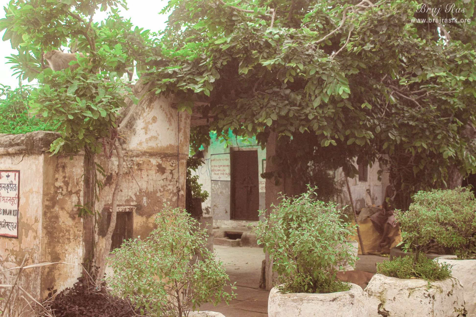 Back view of samadhi area at Shri Radha Madan Mohan Temple, Vrindavan