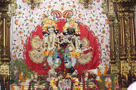 Beautiful front Darshan of Shri Krishna and Balram in Krishna Balram Temple, Vrindavan ISKCON