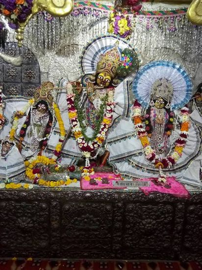Deity darshan at Shri Radha Damodar Temple, Vrindavan