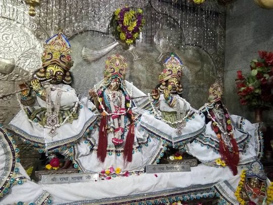 Diety darshan at Shri Radha Damodar Temple, Vrindavan