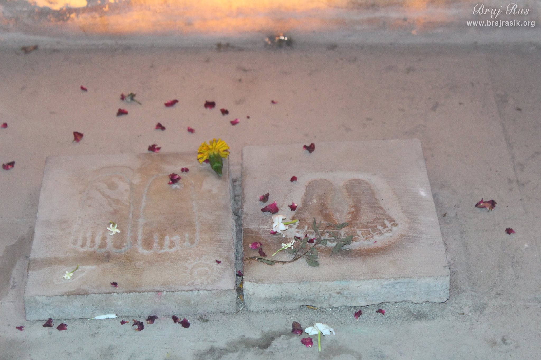 श्री राधा दामोदर मंदिर, वृंदावन में श्री राधा कृष्ण के चरण दर्शन