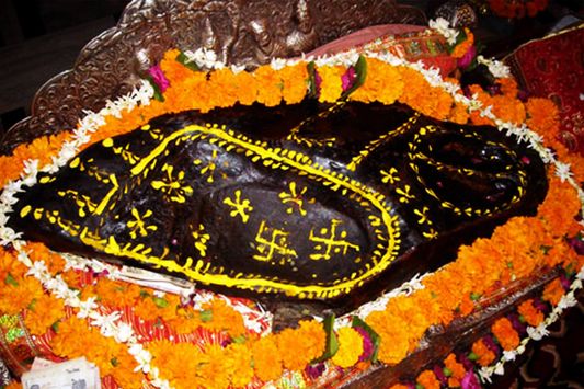 Charan darshan of Shri Krishna on Giriraj Shila at Shri Radha Damodar Temple, Vrindavan