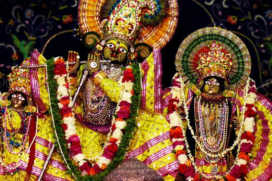Beautiful darshan of Dieties of Shri Radha Damodar Temple, Vrindavan