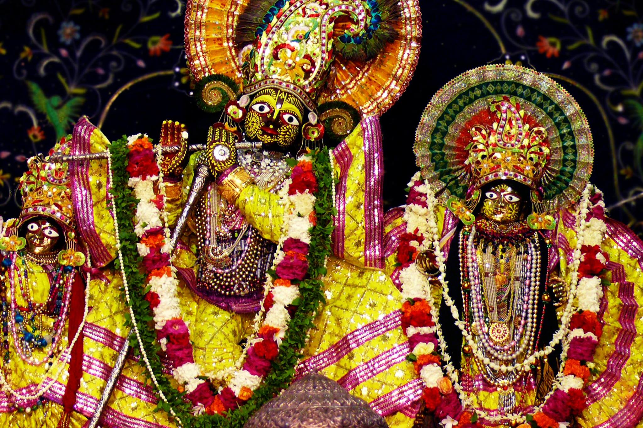Beautiful darshan of Dieties of Shri Radha Damodar Temple, Vrindavan