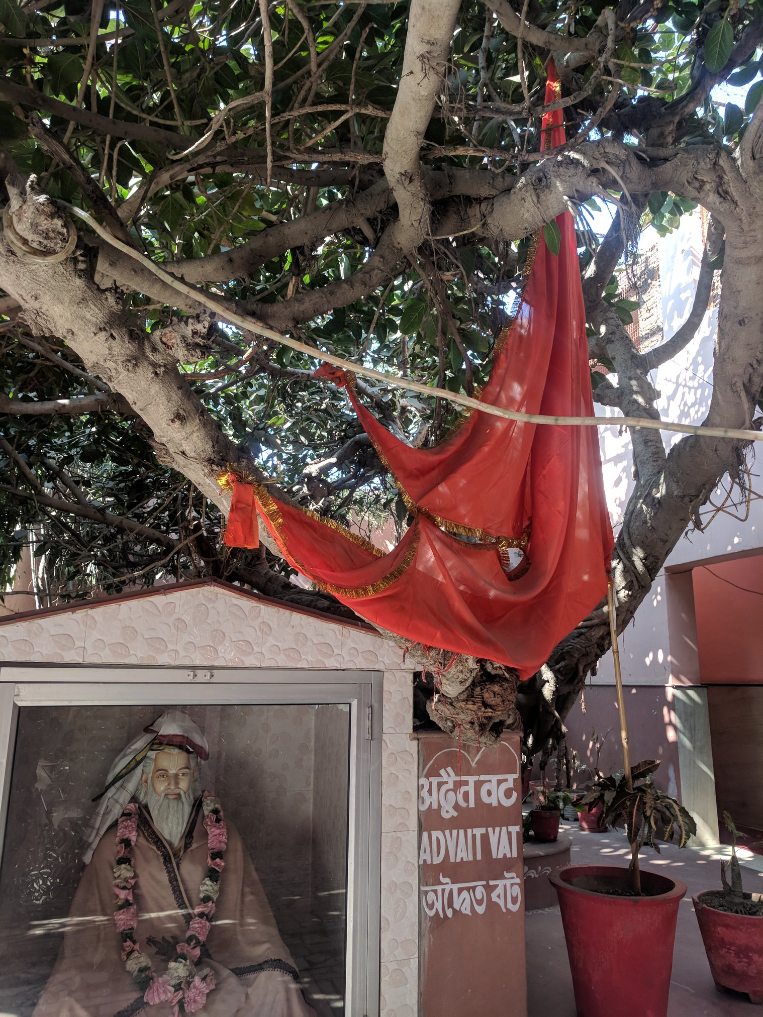 Darshan of Shri Advaitacharya and Advaita Vata tree at Advaita Vata, Vrindavan