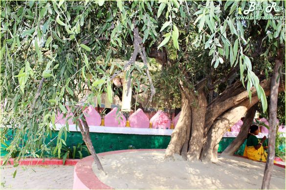 A seating place under a tree at Teira/Tera Kadamb or Ter Kadam - Nandgaun