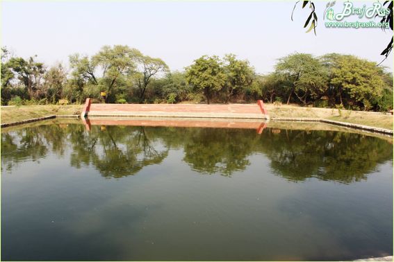 A water pond at Teira/Tera Kadamb or Ter Kadam - Nandgaun
