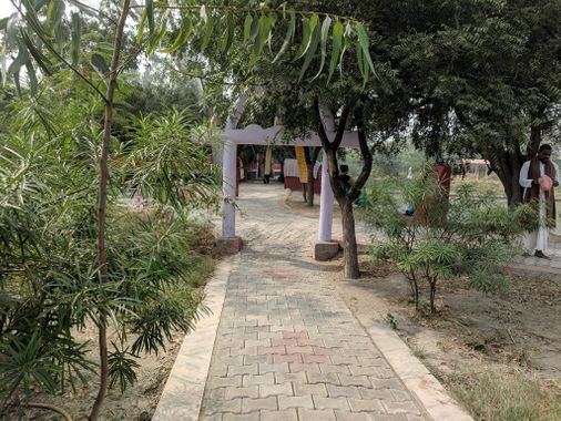Beautiful way to Teira/Tera Kadamb or Ter Kadam - Nandgaun