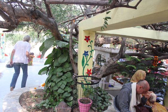 Devotees seated under a tree at Teira/Tera Kadamb or Ter Kadam - Nandgaun
