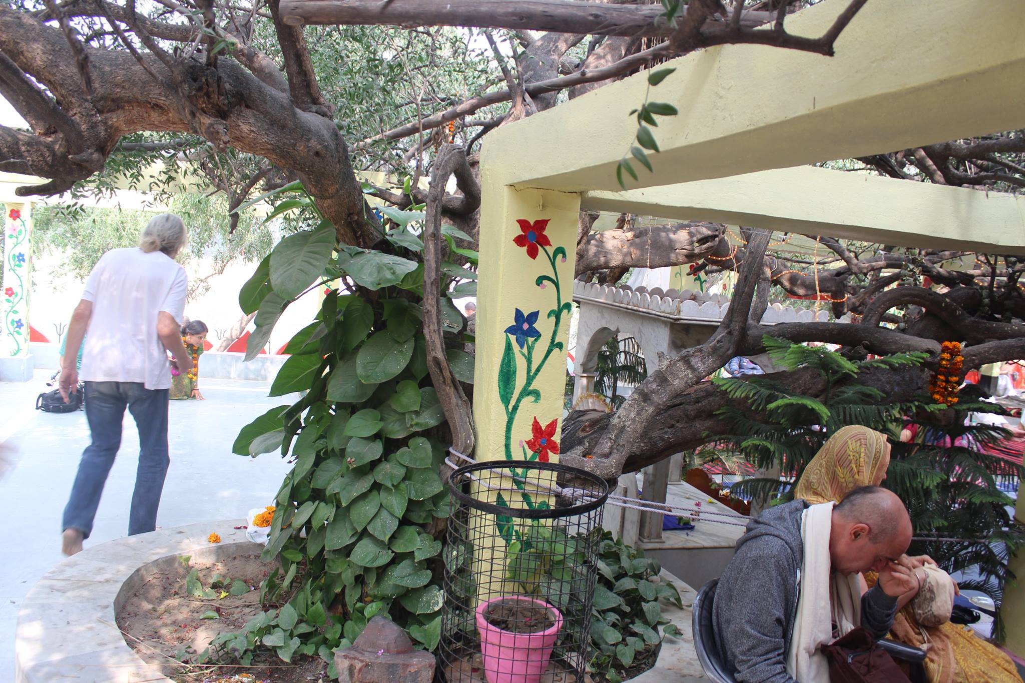 Devotees seated under a tree at Teira/Tera Kadamb or Ter Kadam - Nandgaun