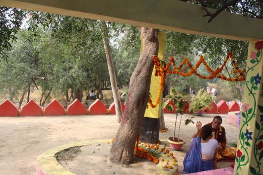 View of devotees seated under a tree at Teira/Tera Kadamb or Ter Kadam - Nandgaun