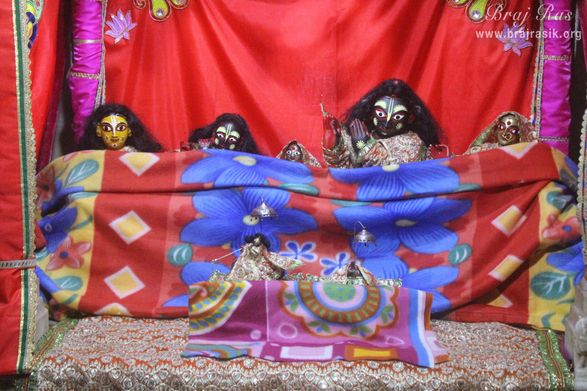 Darshan of Radha Gokulanand muffled in blanket at Shri Radha Gokulananda Temple, Vrindavan