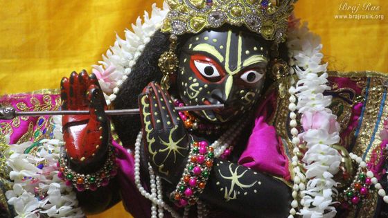 Close darshan of Shri Radha Gokulanand at Shri Radha Gokulananda Temple, Vrindavan